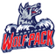 Team logo