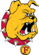 Team logo