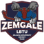 Team logo