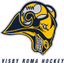 Team logo