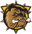 Team logo