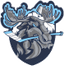 Team logo