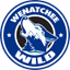 Team logo
